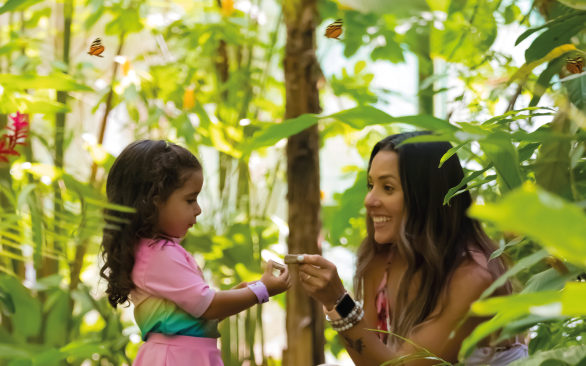 Mariposario-2